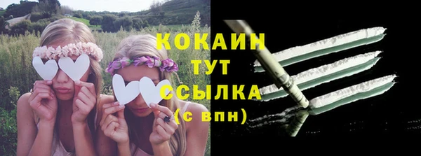 шишки Нефтегорск