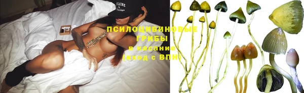 шишки Нефтегорск