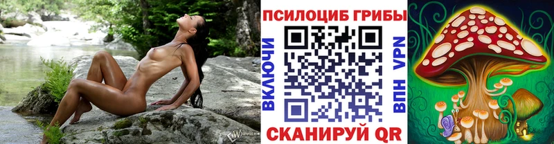 Галлюциногенные грибы прущие грибы  наркошоп  Цимлянск 